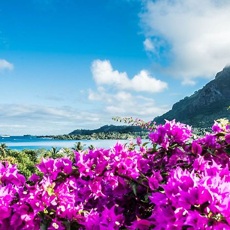Villa Rea Hanaa Bora Bora Eksteriør bilde